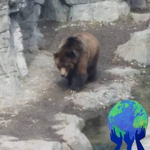 Meet your Posher, Kathryn